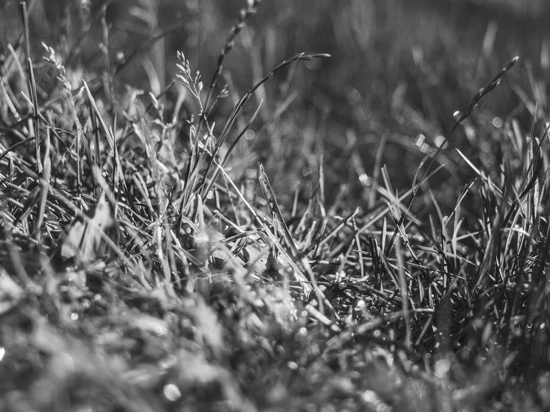 sudoku rating system screenshot 2